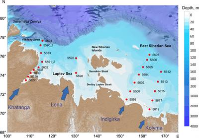 Fluorescent signatures of autochthonous dissolved organic matter production in Siberian shelf seas